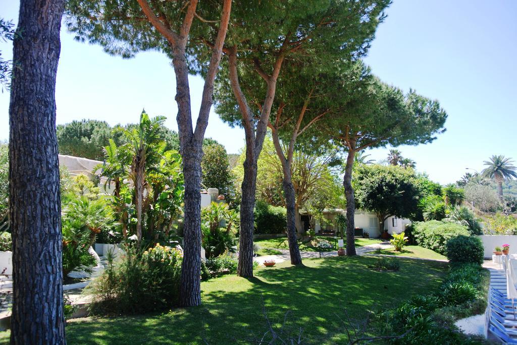 SENTIDO Paradiso Terme Resort&SPA con 5 piscine termali Forio di Ischia Exterior foto